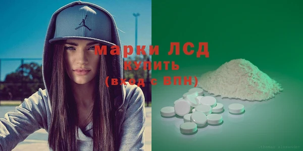 прущие грибы Абинск