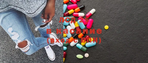 прущие грибы Абинск