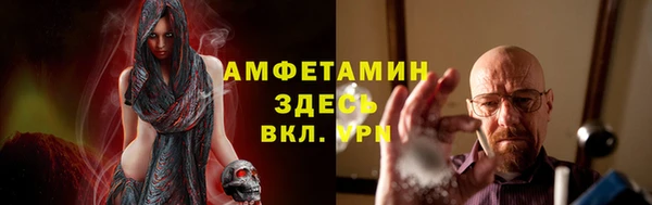 прущие грибы Абинск