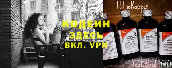 прущие грибы Абинск
