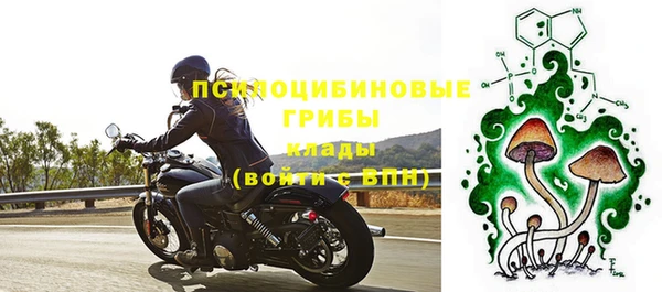прущие грибы Абинск