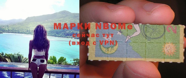 прущие грибы Абинск